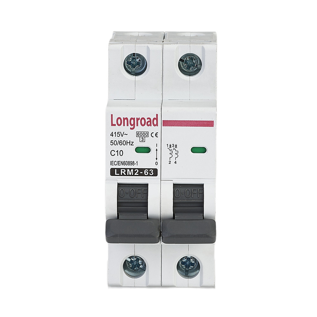 LRM2-63 2P Miniature Circuit Breaker (2-pole MCB)
